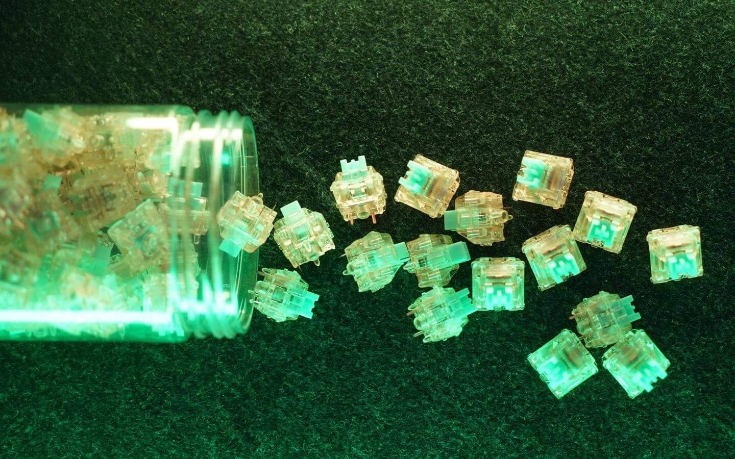 Gateron Kangaroo Box Ink - recenzja switchy