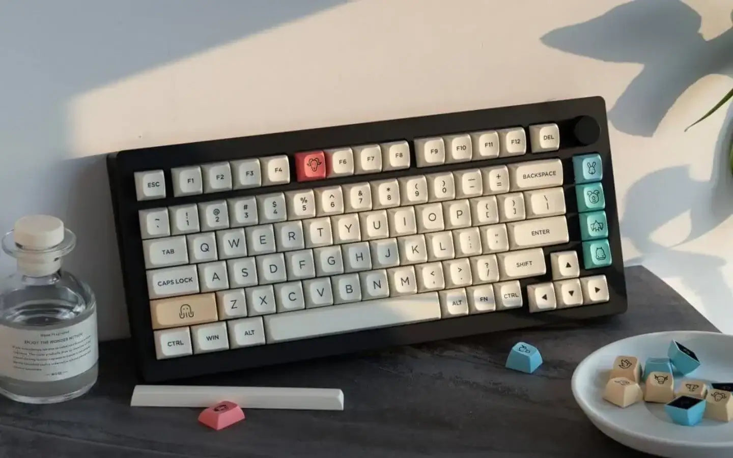 Jakie AKKO keycaps wybrać dla swojej klawiatury?