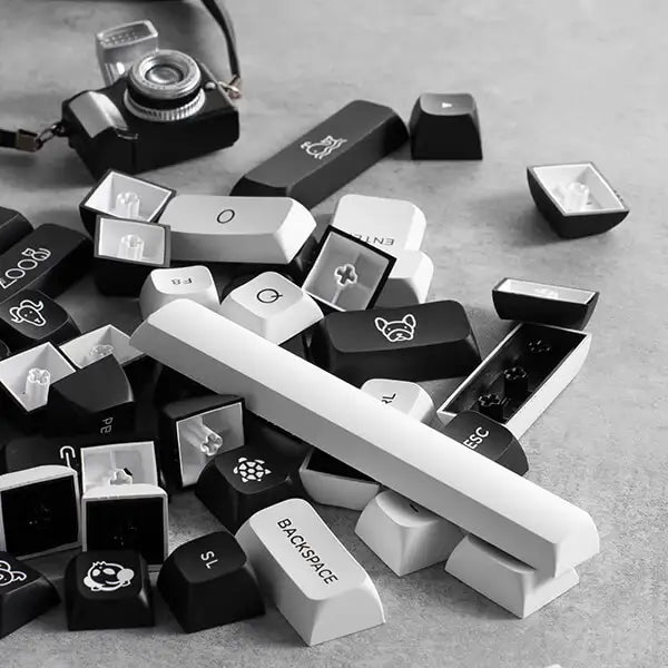 Wielokolorowe czarno-białe klawisze do klawiatury komputerowej obok starszego aparatu fotograficznego na szarym tle