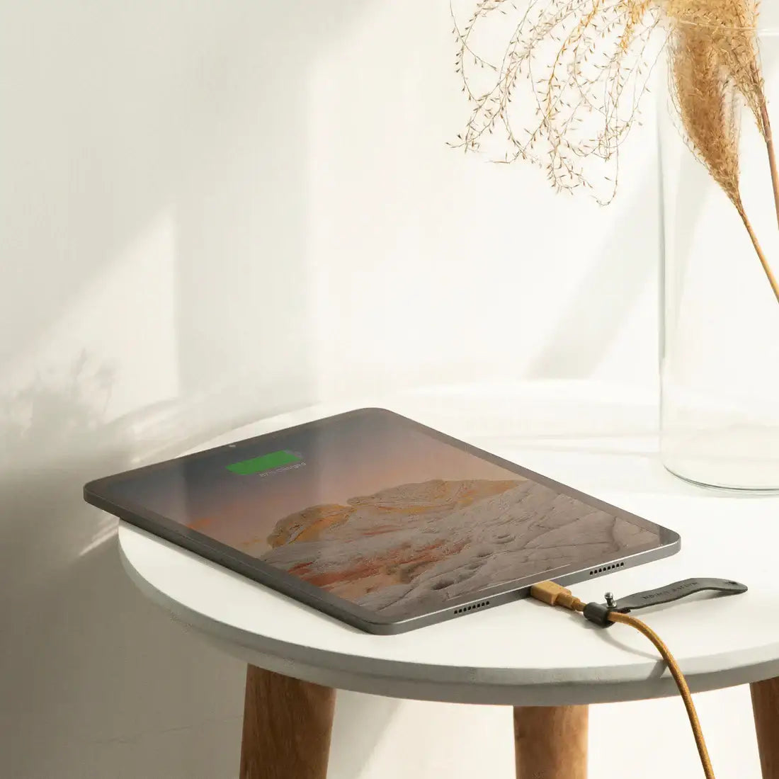 Native Union - Belt Cable 1.2M (USB-C to USB-C) - Kabel USB-C do USB-C