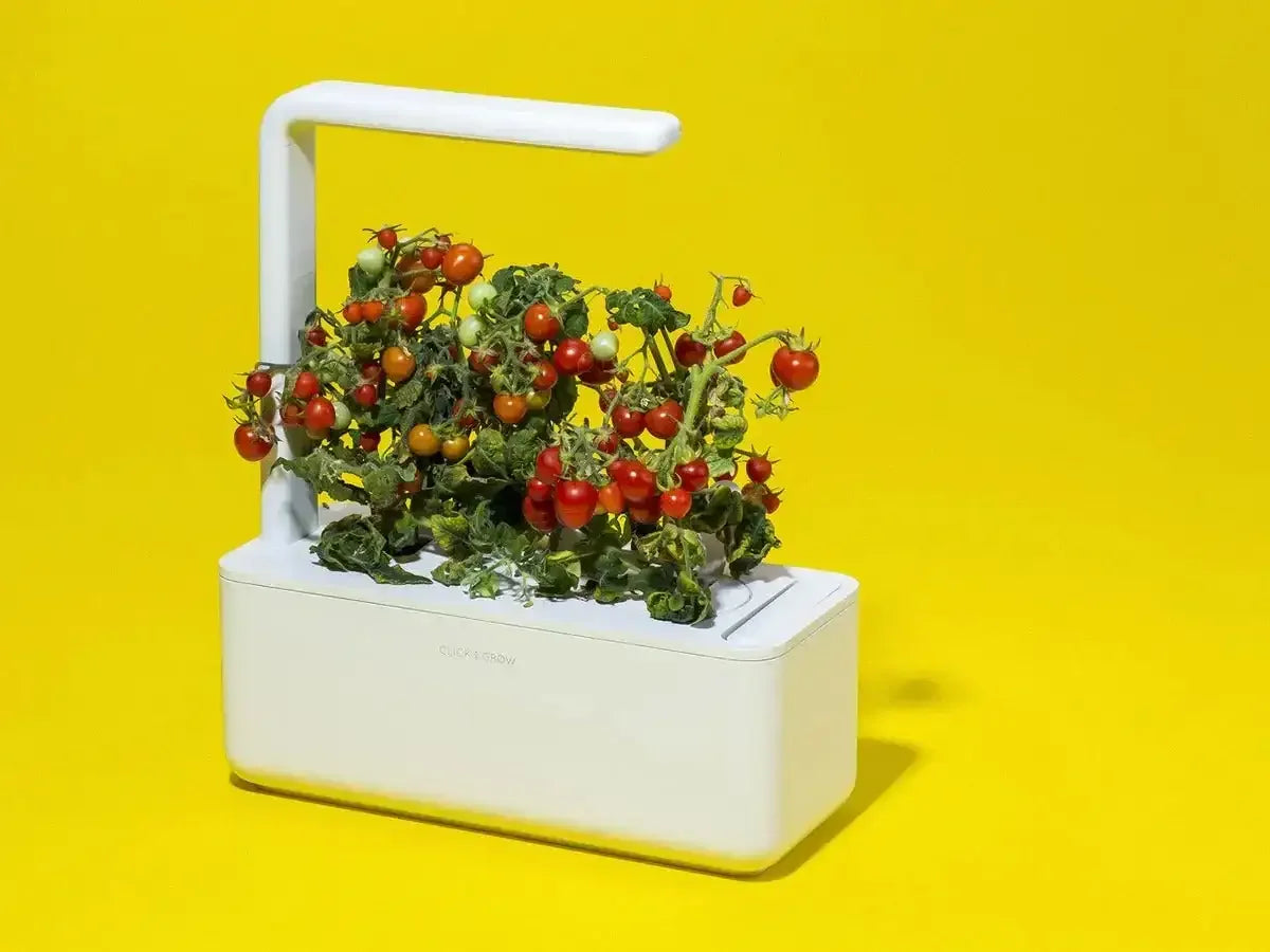 Click & Grow - Smart Garden 3 Indoor Starter Kit - Doniczka z Lampą Led do Uprawy Roślin