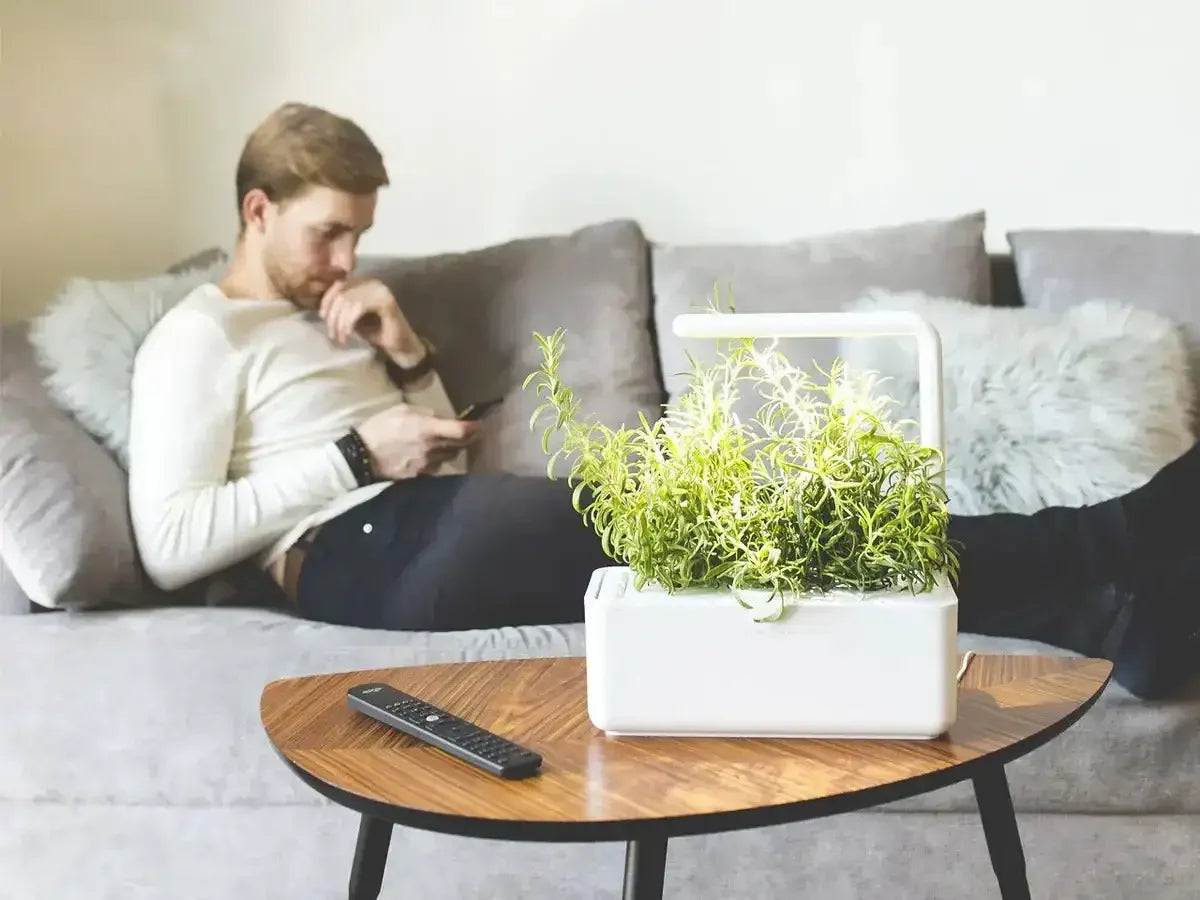 Click & Grow - Smart Garden 3 Indoor Starter Kit - Doniczka z Lampą Led do Uprawy Roślin