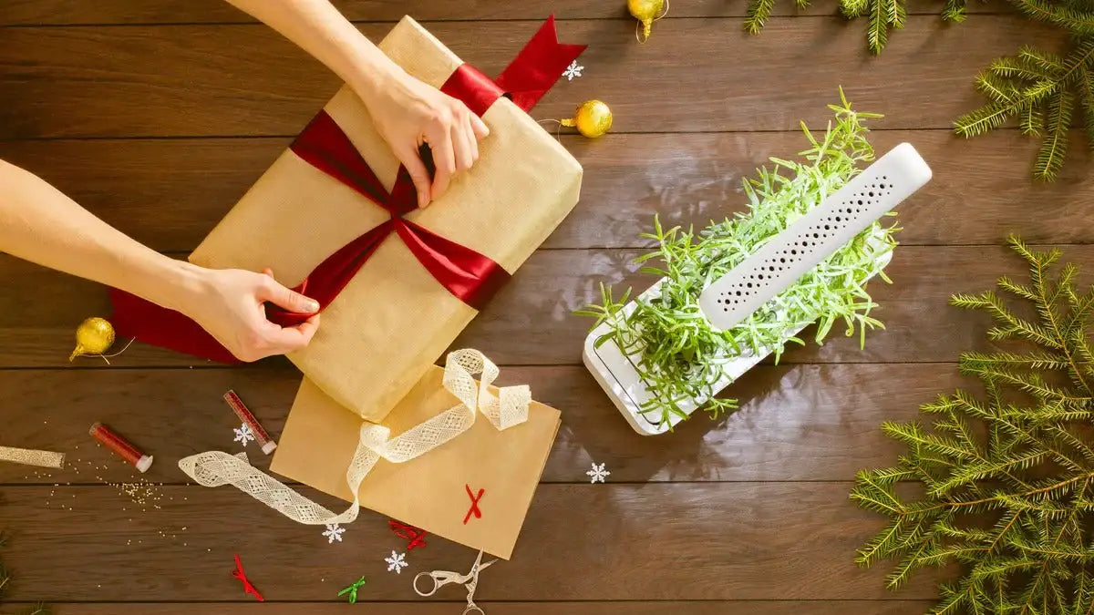 Click & Grow - Smart Garden 3 Indoor Starter Kit - Doniczka z Lampą Led do Uprawy Roślin