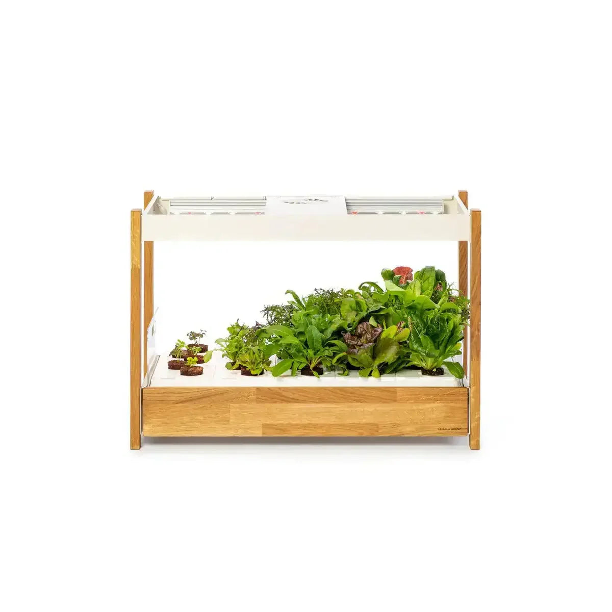 Click & Grow - 25 Indoor Starter Kit - Doniczka z Lampą Led do Uprawy Roślin