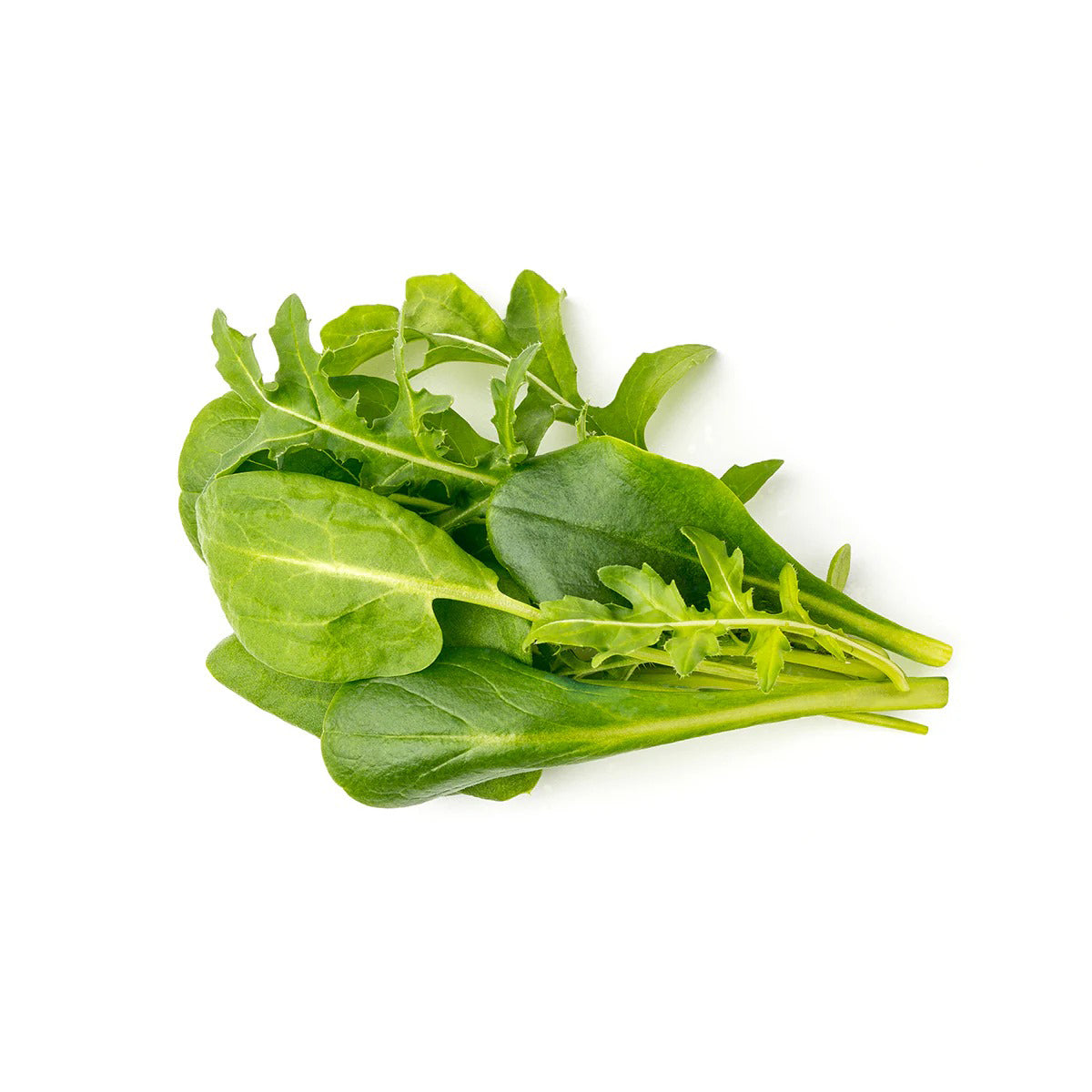 Click & Grow - Smart Garden Refill - Salad Greens Mix - Starter do Uprawy z Nasionami - Mieszanka Sałat