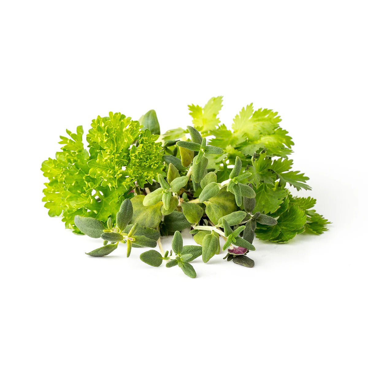 Click & Grow - Smart Garden Refill Steak Seasoning Mix - Starter do Uprawy z Nasionami - Mieszanka Ziół do Grillowania i Steków