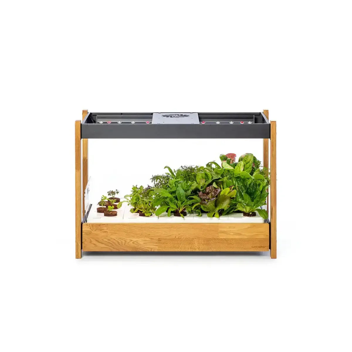 Click & Grow - 25 Indoor Starter Kit - Doniczka z Lampą Led do Uprawy Roślin