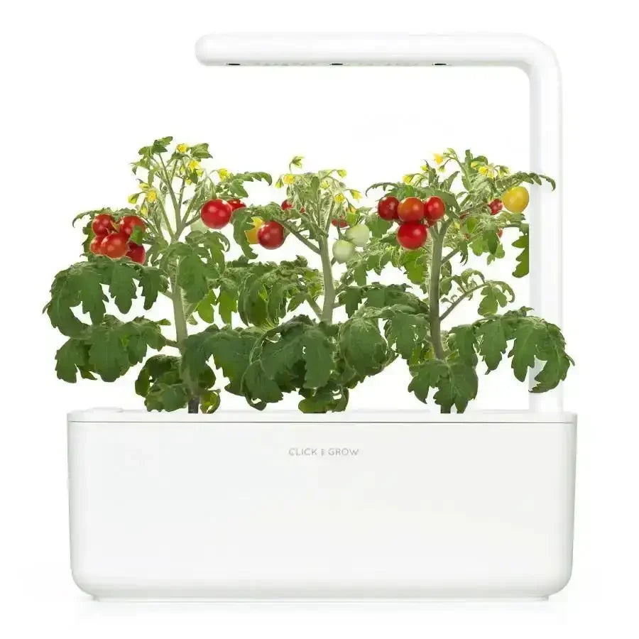 Click & Grow - Smart Garden Refill Mini Tomato - Starter do Uprawy z Nasionami - Pomidorki Koktajlowe