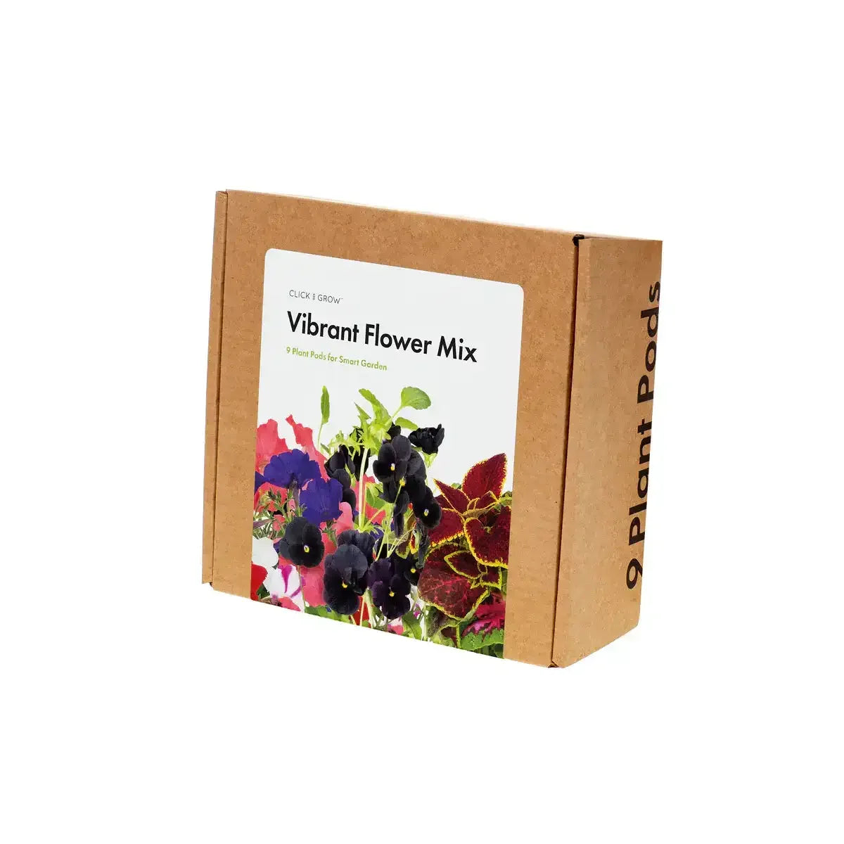 Click & Grow - Smart Garden Refill Vibrant Flower Mix - Starter do Uprawy z Nasionami - Mix Kwiatów Kolorowych