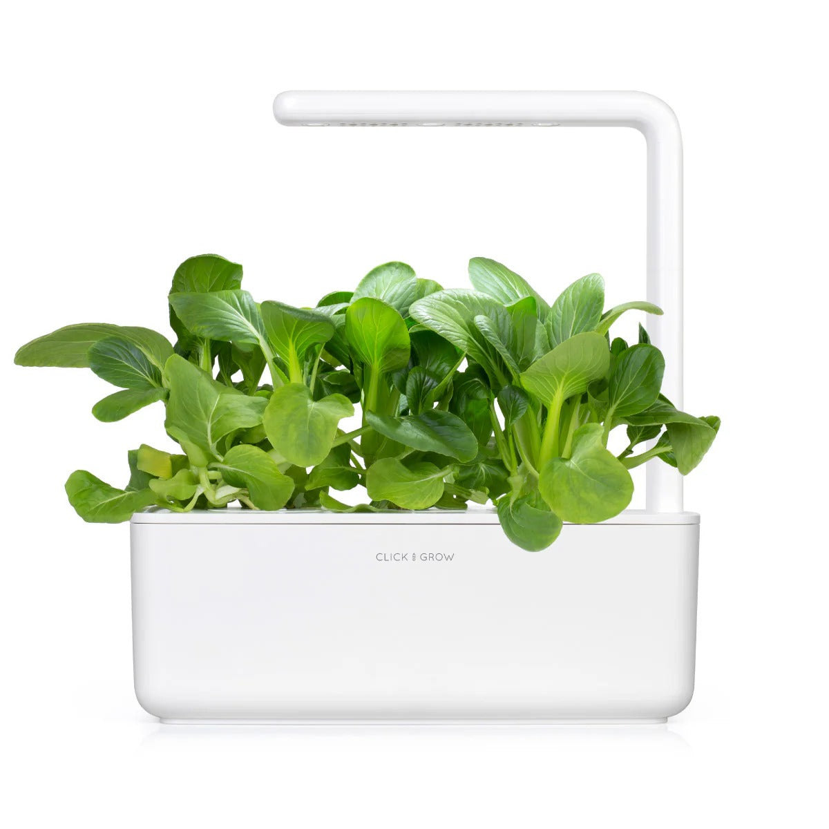 Click & Grow - Smart Garden Refill Pak Choi - Starter do Uprawy z Nasionami - Kapusta Pak Choi