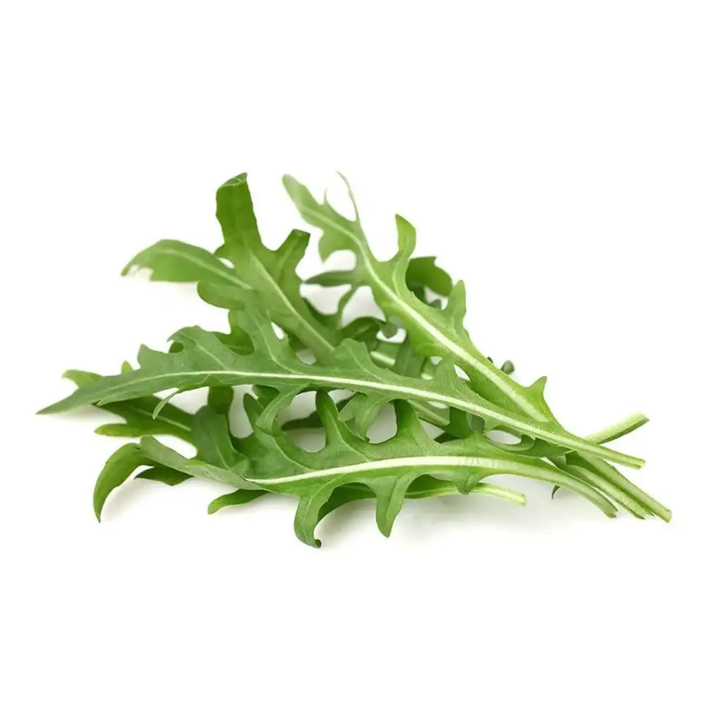 Click & Grow - Smart Garden Refill Leaf Mustard - Starter do Uprawy z Nasionami - Kapusta Sitowata