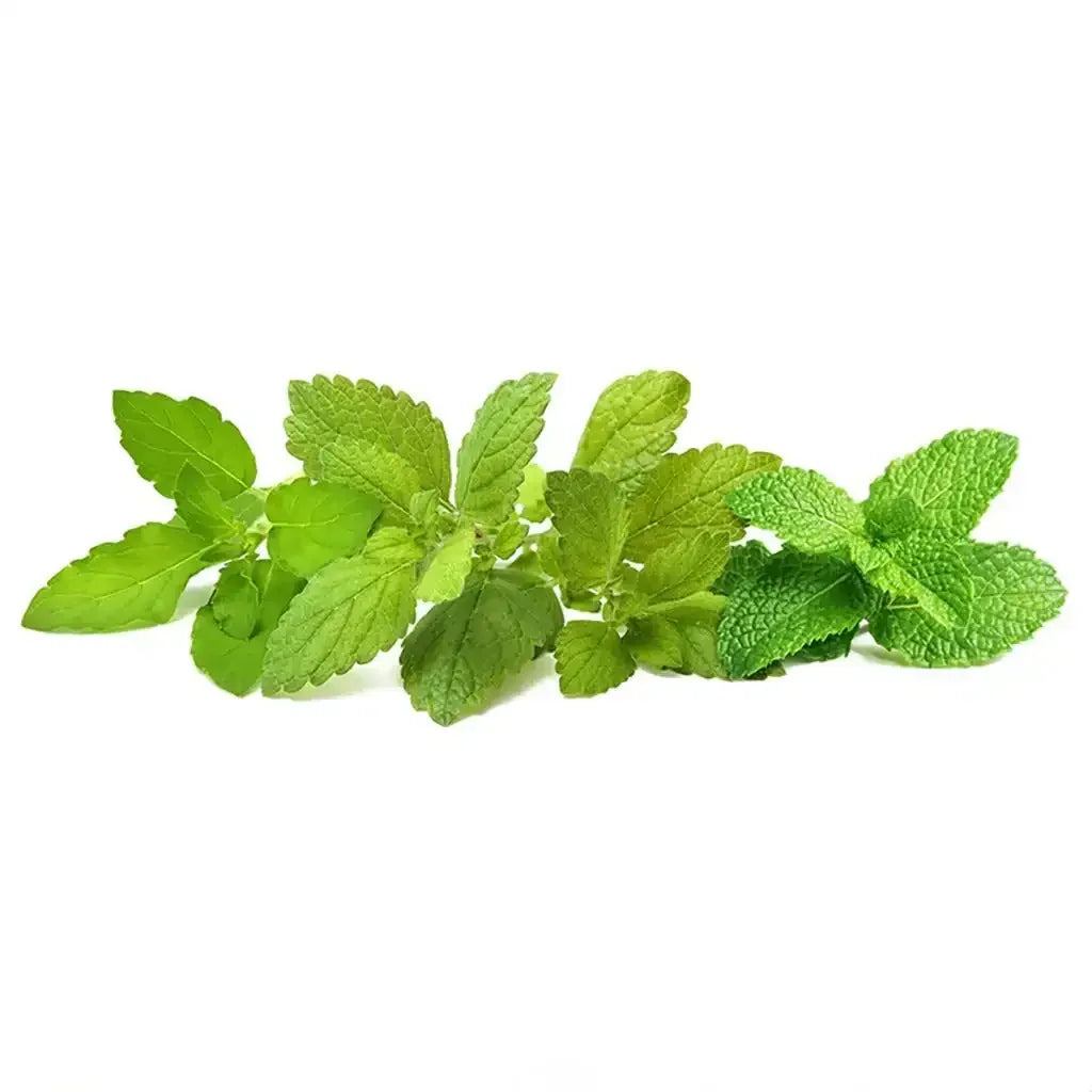 Click & Grow - Smart Garden Refill Calming Tea Mix - Starter do Uprawy z Nasionami - Mix Ziołowych Herbat Uspokajających