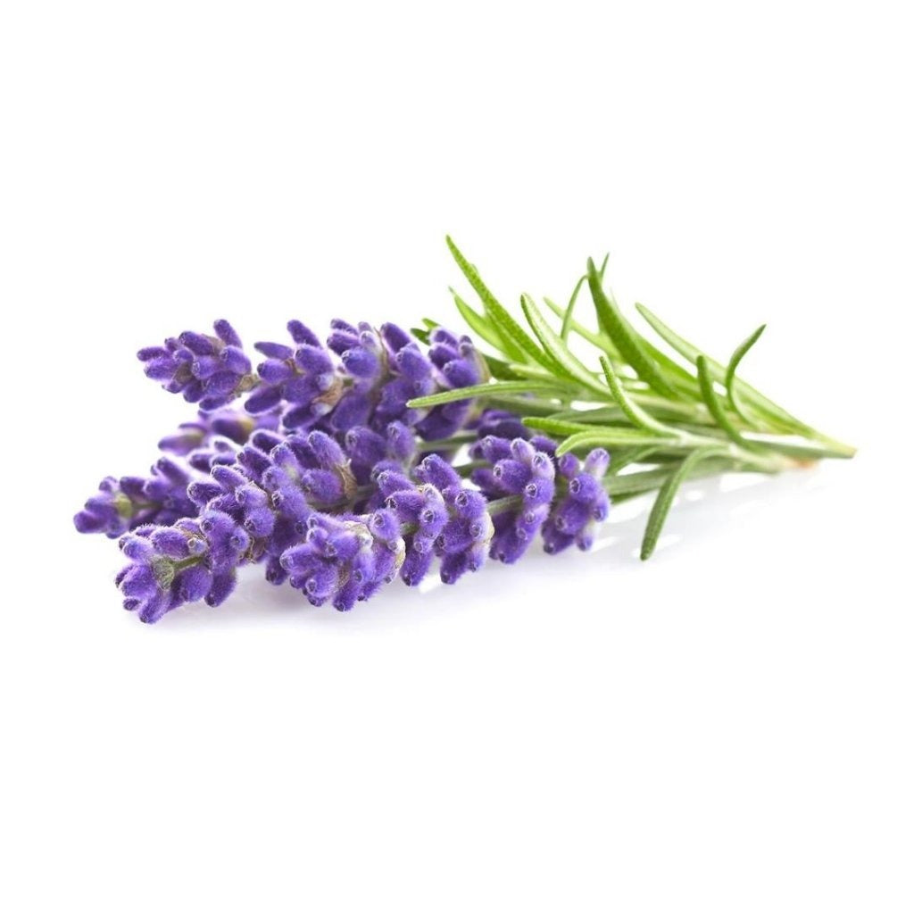 Click & Grow - Smart Garden Refill Lavender - Starter do Uprawy z Nasionami - Lawenda