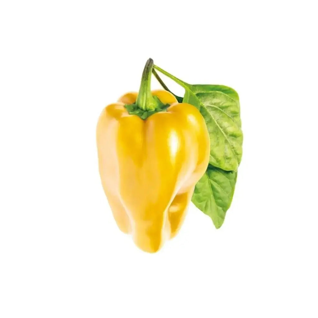 Click & Grow - Smart Garden Refill Yellow Sweet Peppers - Starter do Uprawy z Nasionami - Żółta Papryka Słodka