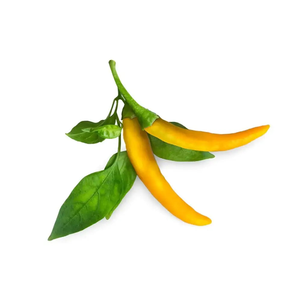 Click & Grow - Smart Garden Refill Yellow Chili Pepper - Starter do Uprawy z Nasionami - Żółte Papryczki Chili