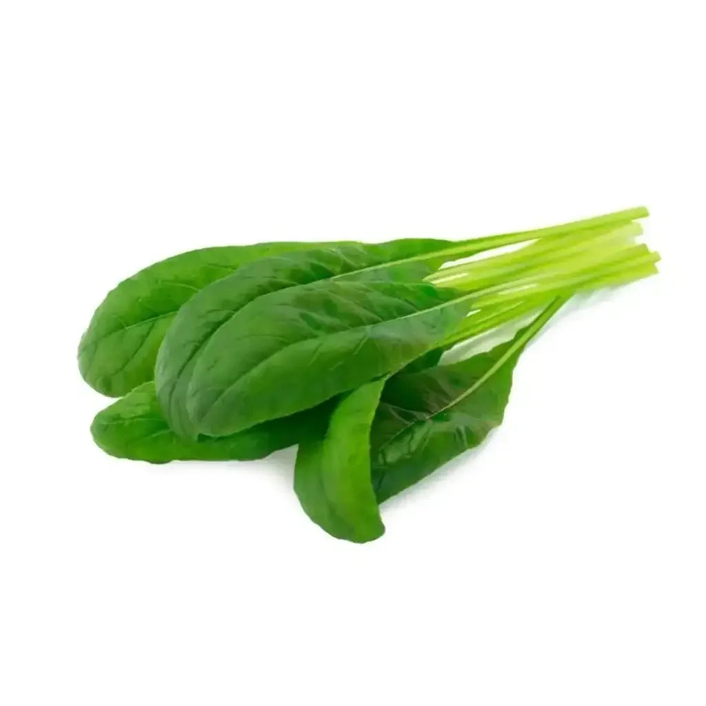 Click & Grow - Smart Garden Refill Mibuna - Starter do Uprawy z Nasionami - Kapusta Mizuna