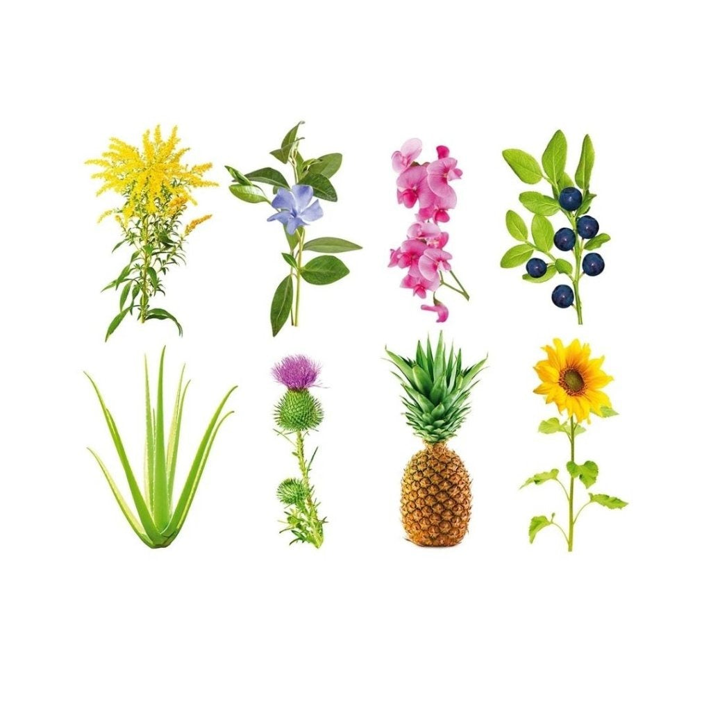 Click & Grow - Smart Garden Refill Grow Anything - Starter do Uprawy bez Nasion
