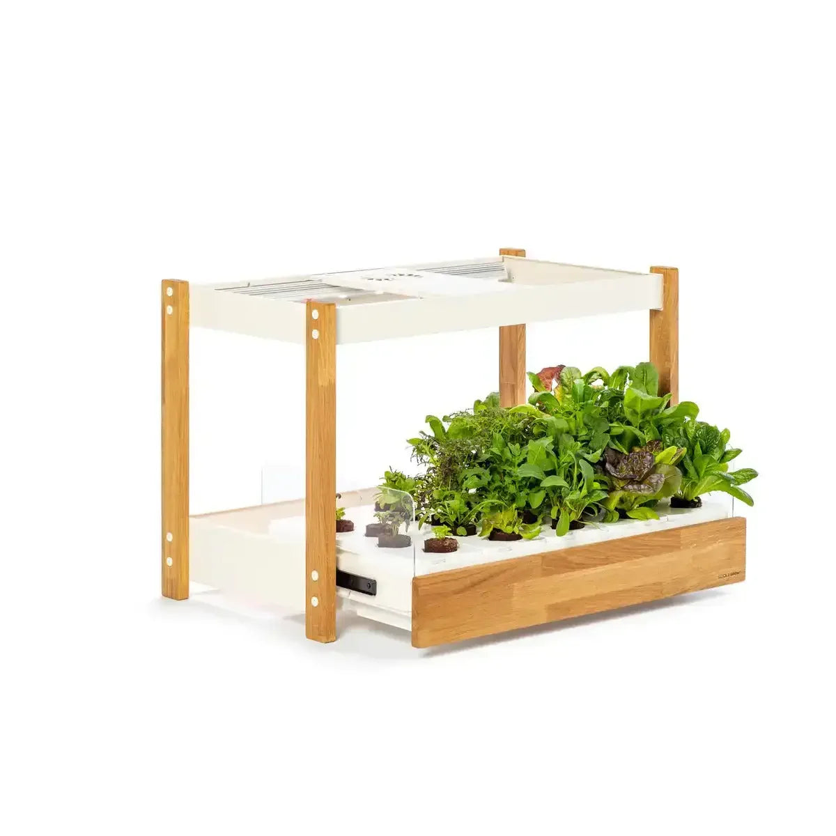 Click & Grow - 25 Indoor Starter Kit - Doniczka z Lampą Led do Uprawy Roślin