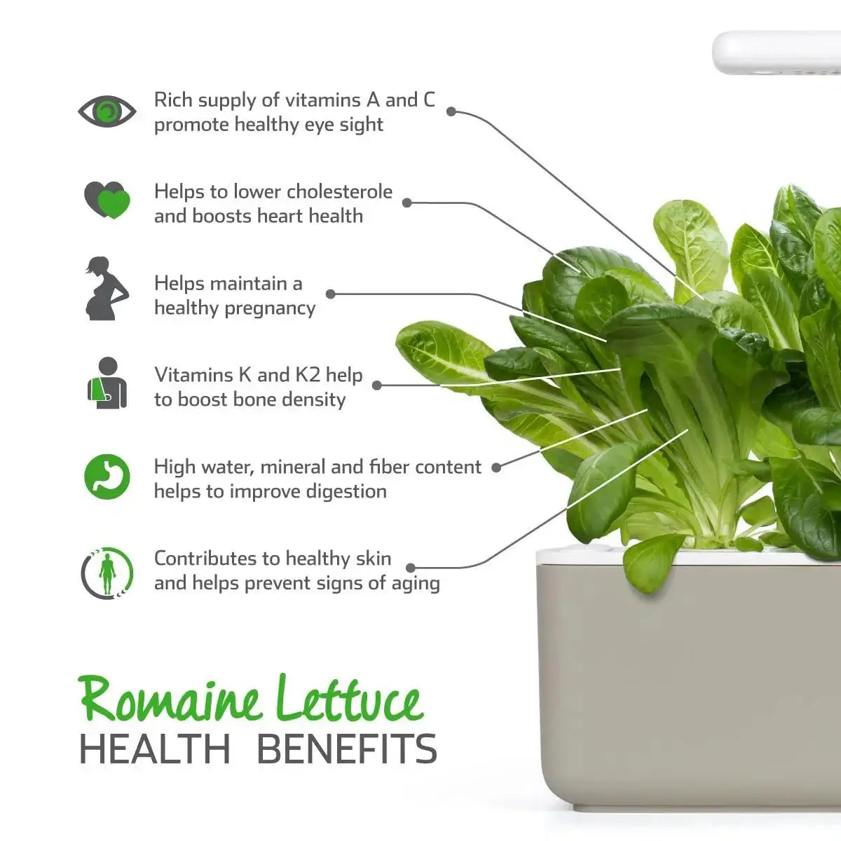 Click & Grow - Smart Garden Refill Romaine Lettuce - Starter do Uprawy z Nasionami - Sałata Rzymska