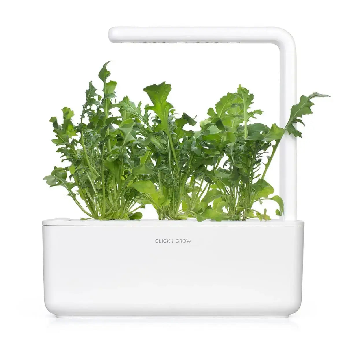 Click & Grow - Smart Garden Refill Arugula - Starter do Uprawy z Nasionami - Rukola