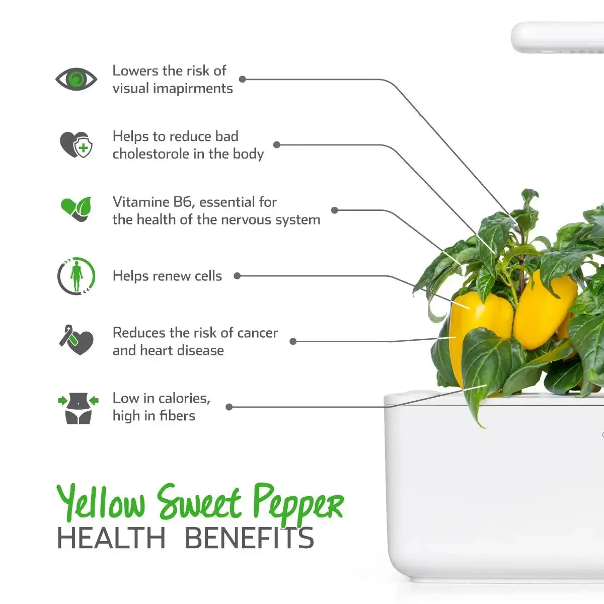 Click & Grow - Smart Garden Refill Yellow Sweet Peppers - Starter do Uprawy z Nasionami - Żółta Papryka Słodka