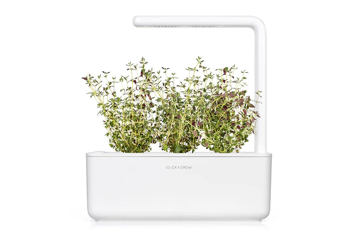 Click & Grow - Smart Garden Refill Thyme - Starter do Uprawy z Nasionami - Tymianek