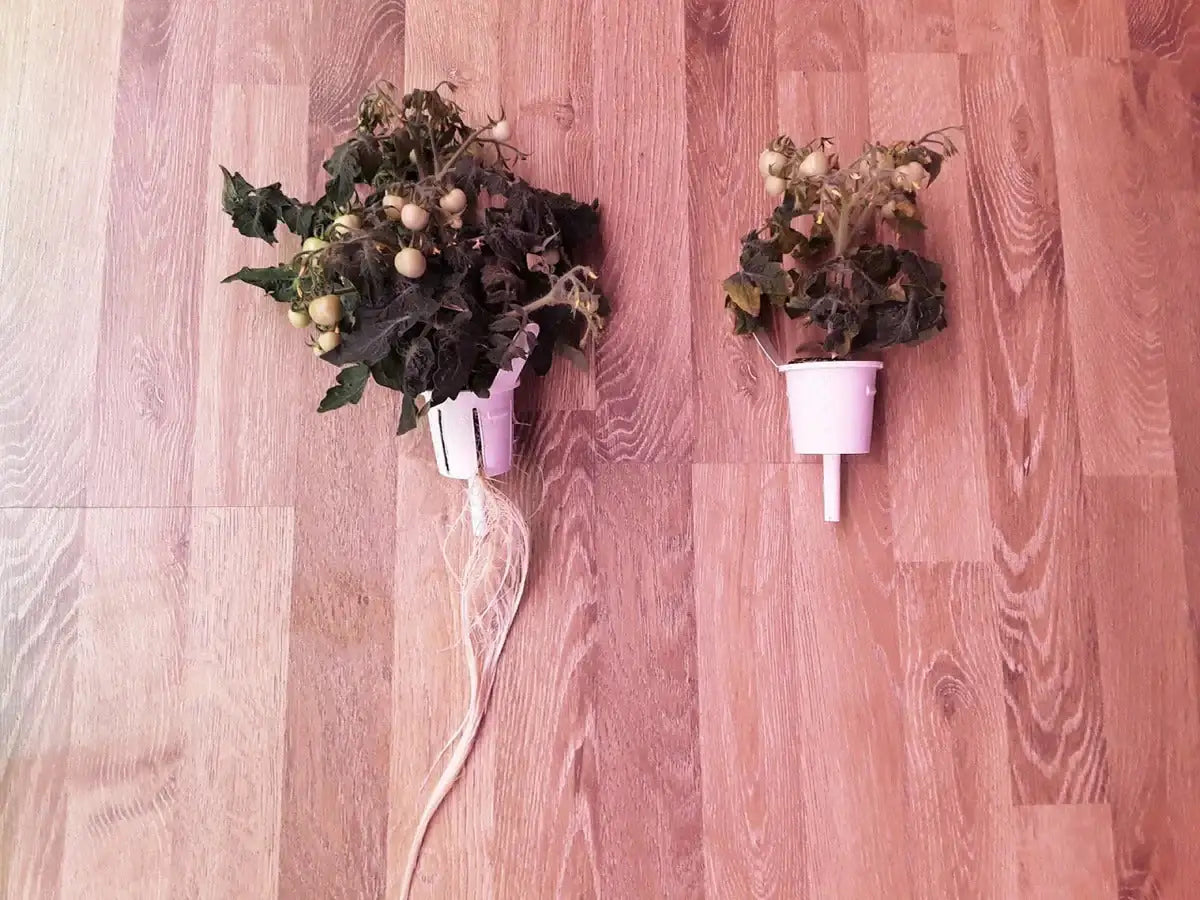 Click & Grow - Pro Plant Cups 9-pack - Kubeczki Pro do Sadzenia Roślin 9szt.