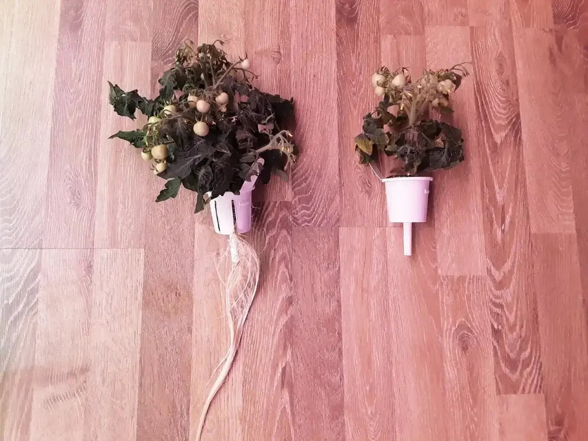 Click & Grow - Pro Plant Cups 9-pack - Kubeczki Pro do Sadzenia Roślin 9szt.