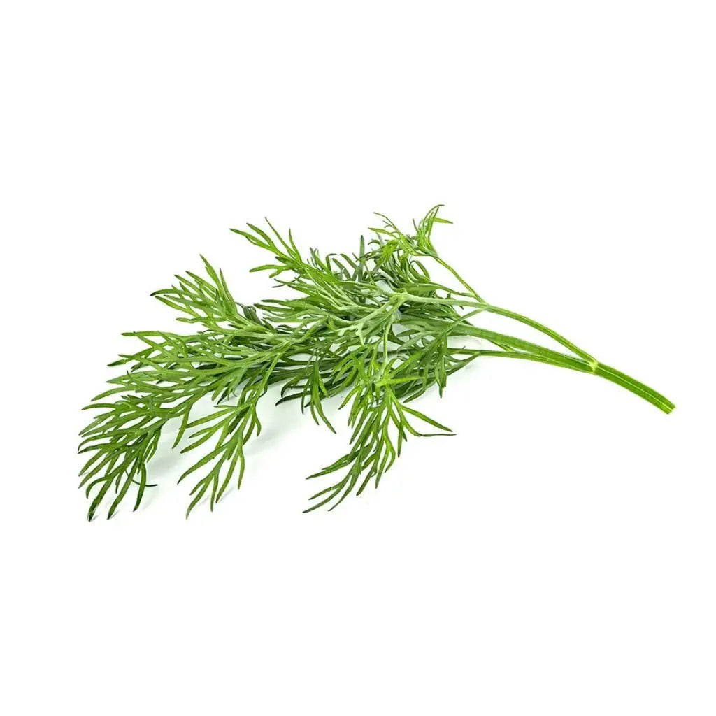 Click & Grow - Smart Garden Refill Dill - Starter do Uprawy z Nasionami - Koperek