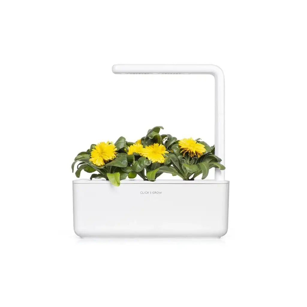 Click & Grow - Smart Garden Refill Calendula - Starter do Uprawy z Nasionami - Nagietek Lekarski