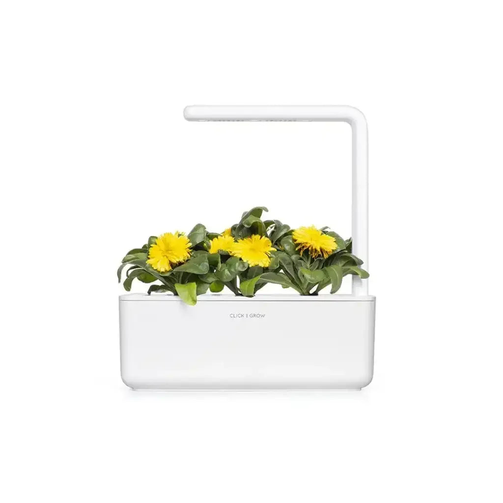 Click & Grow - Smart Garden Refill Calendula - Starter do Uprawy z Nasionami - Nagietek Lekarski