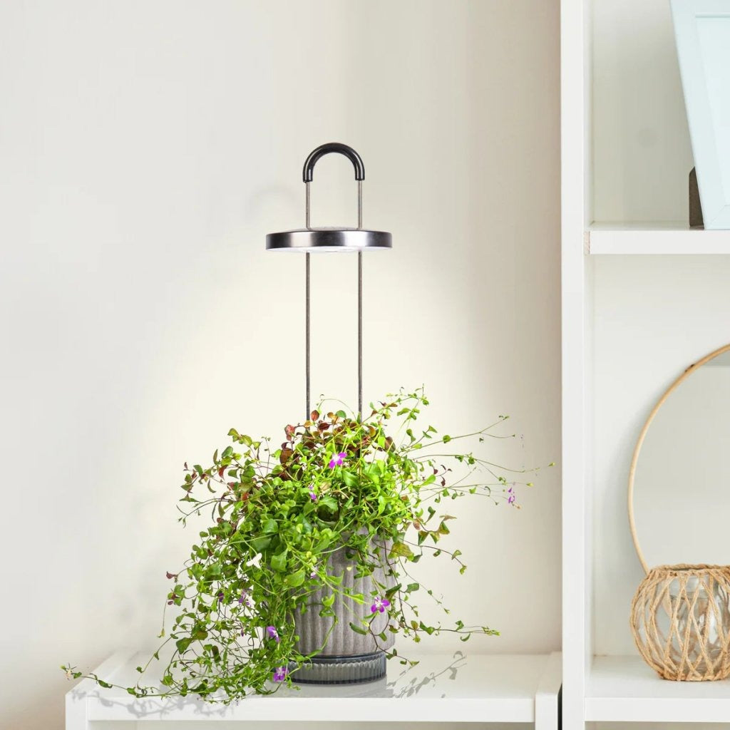 Click & Grow - HydroVase by Ermonix Indoor Plant Care Kit with LED Light - Doniczka z Lampą Led do Uprawy Roślin