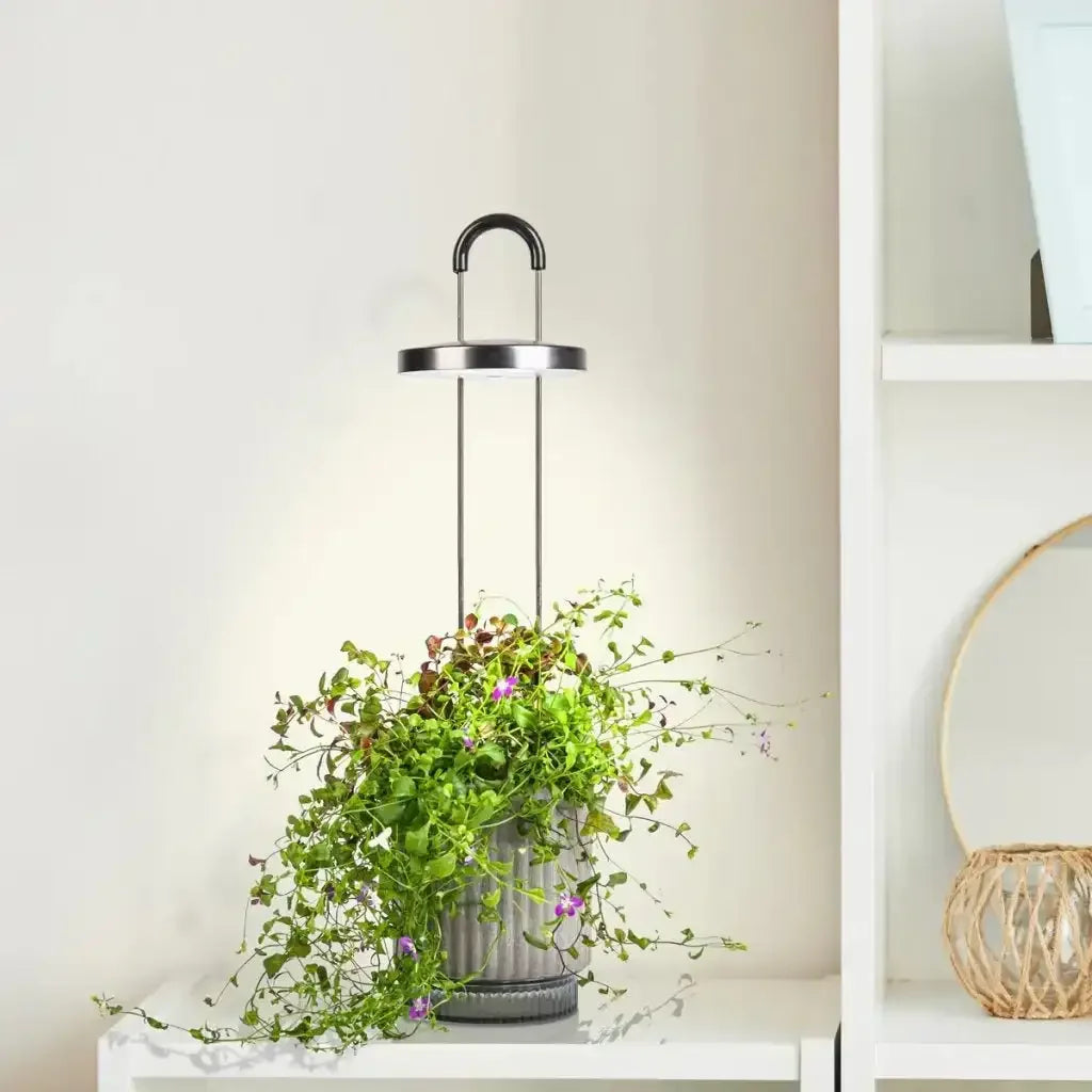 Click & Grow - HydroVase by Ermonix Indoor Plant Care Kit with LED Light - Doniczka z Lampą Led do Uprawy Roślin