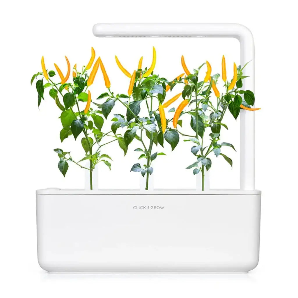 Click & Grow - Smart Garden Refill Yellow Chili Pepper - Starter do Uprawy z Nasionami - Żółte Papryczki Chili
