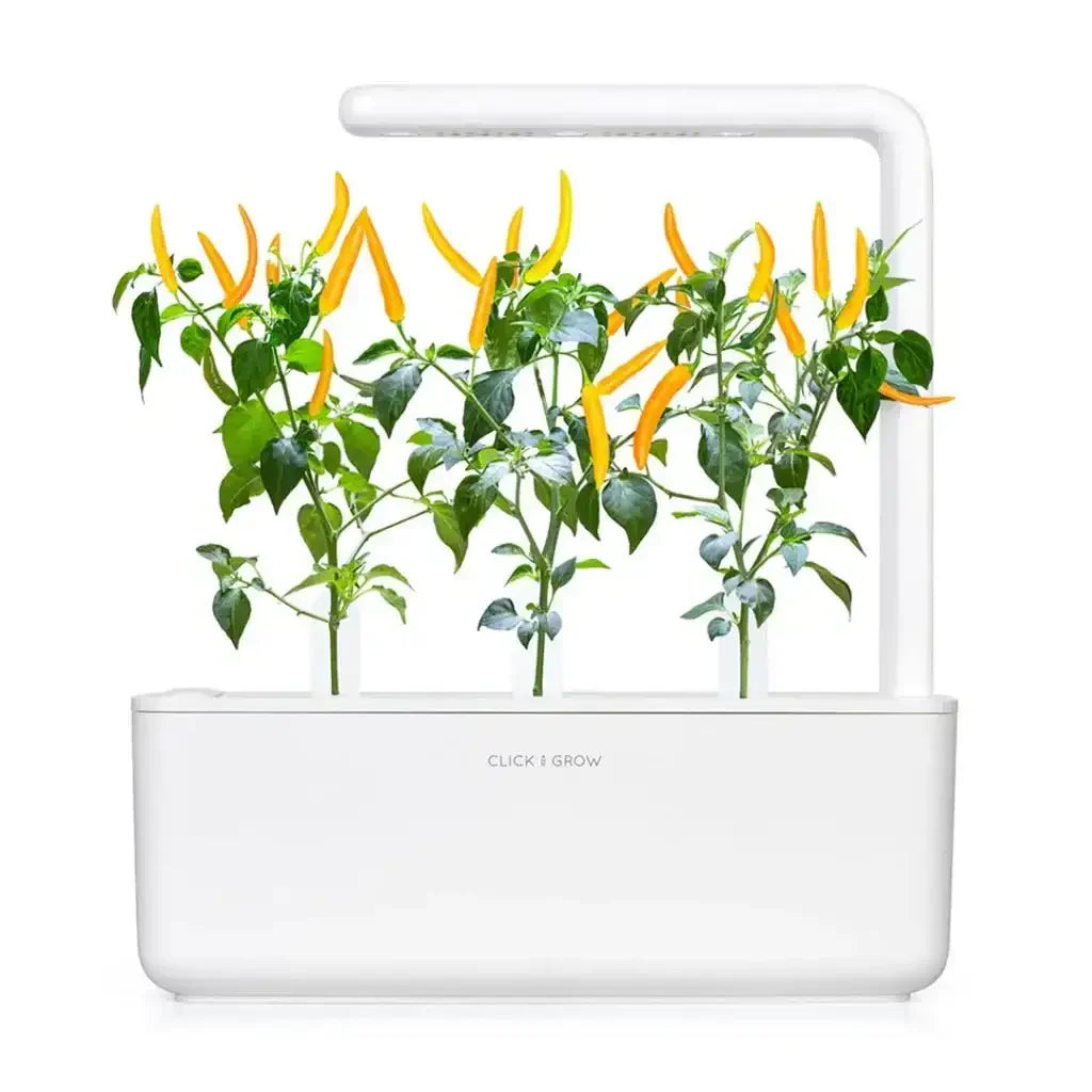 Click & Grow - Smart Garden Refill Yellow Chili Pepper - Starter do Uprawy z Nasionami - Żółte Papryczki Chili