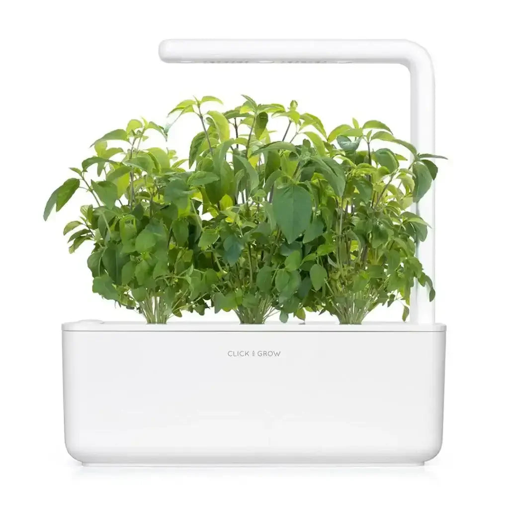 Click & Grow - Smart Garden Refill Thai Basil - Starter do Uprawy z Nasionami - Bazylia Tajska
