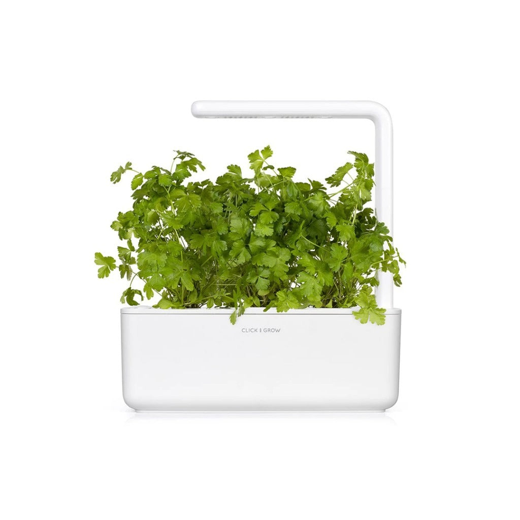Click & Grow - Smart Garden Refill Common Parsley - Starter do Uprawy z Nasionami - Pietruszka Zwyczajna