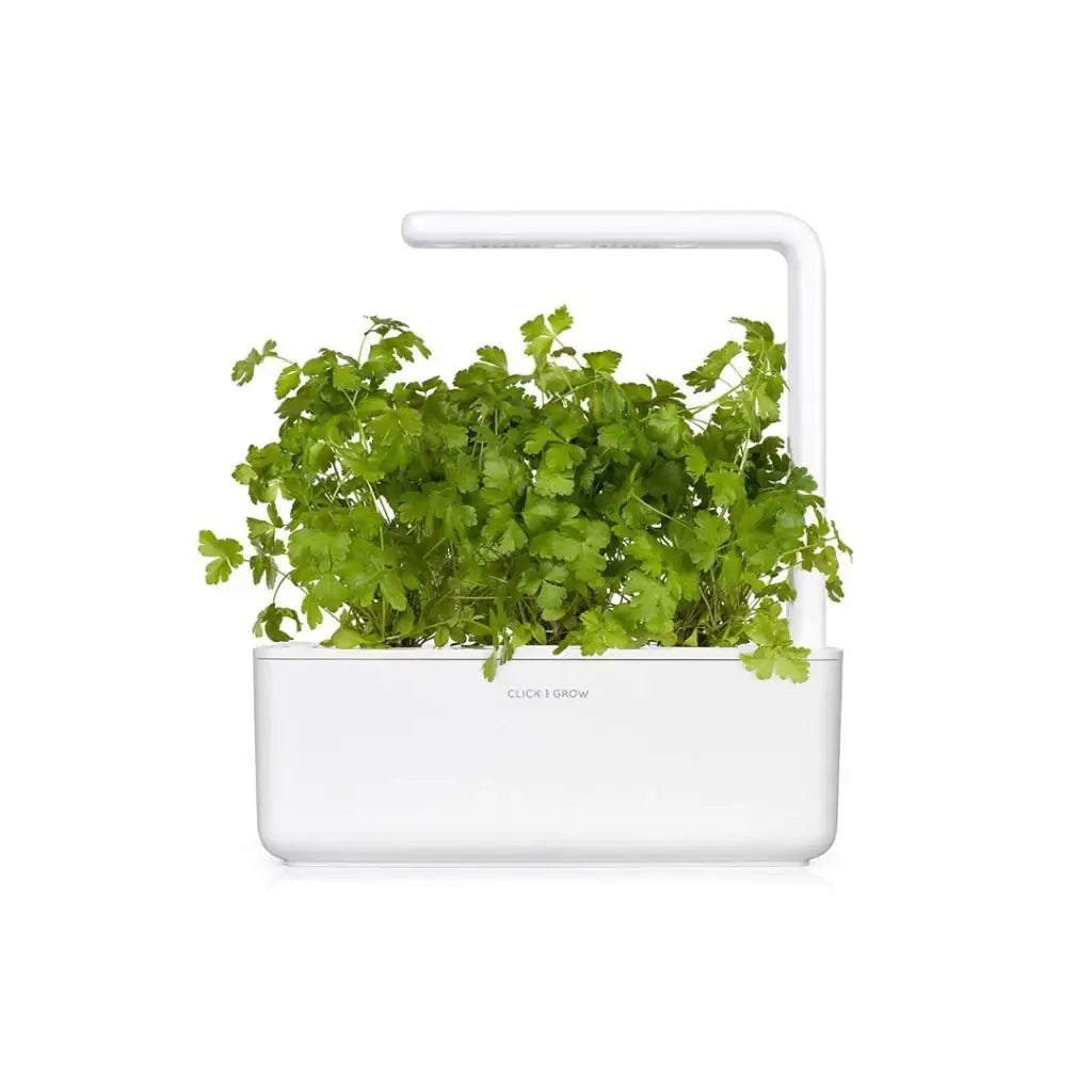 Click & Grow - Smart Garden Refill Common Parsley - Starter do Uprawy z Nasionami - Pietruszka Zwyczajna