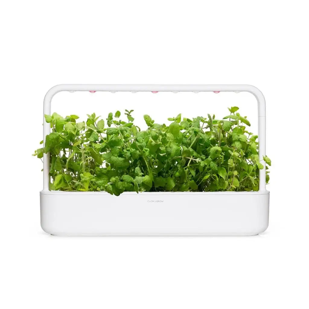 Click & Grow - Smart Garden Refill Apple Mint - Starter do Uprawy z Nasionami - Mięta Jabłkowa