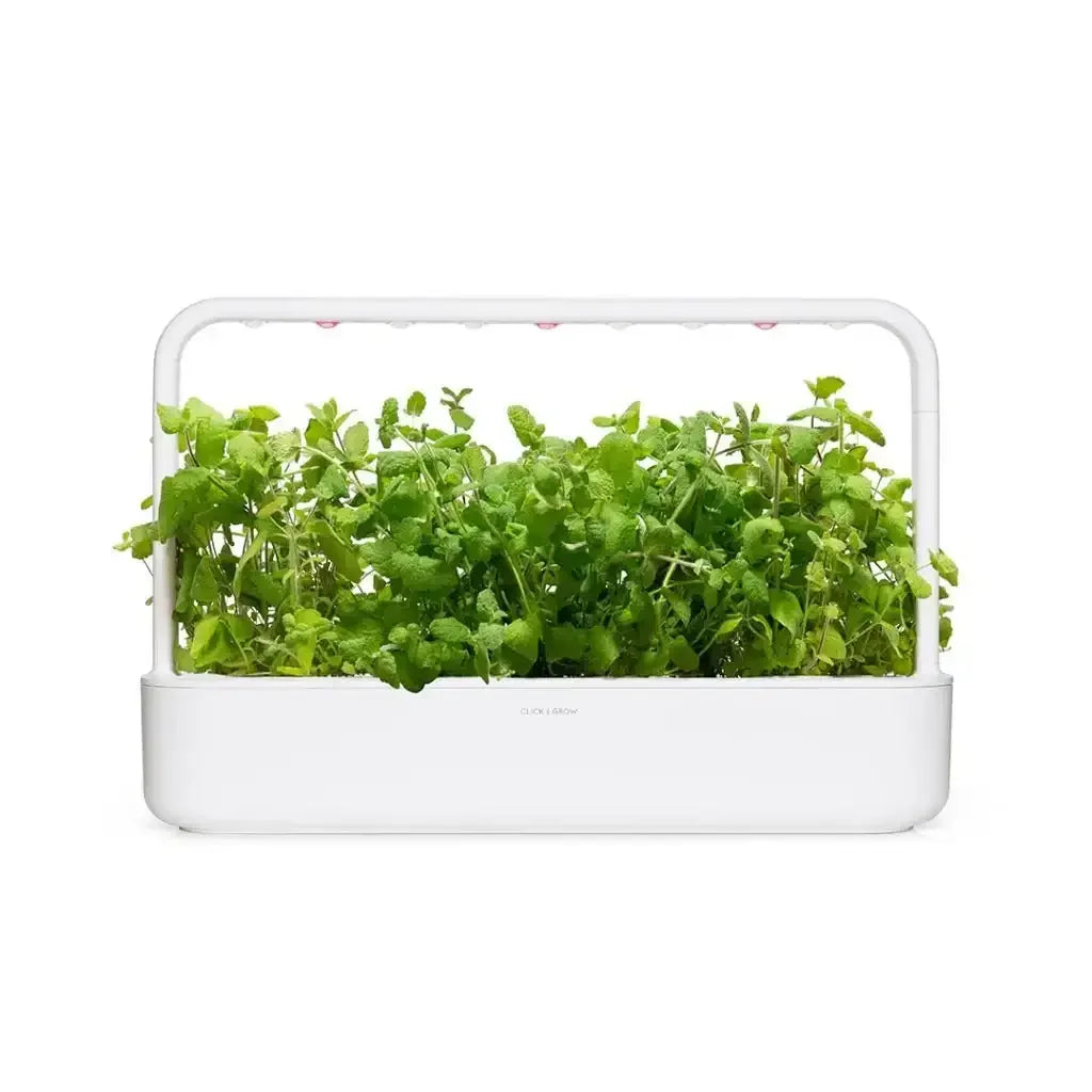 Click & Grow - Smart Garden Refill Apple Mint - Starter do Uprawy z Nasionami - Mięta Jabłkowa