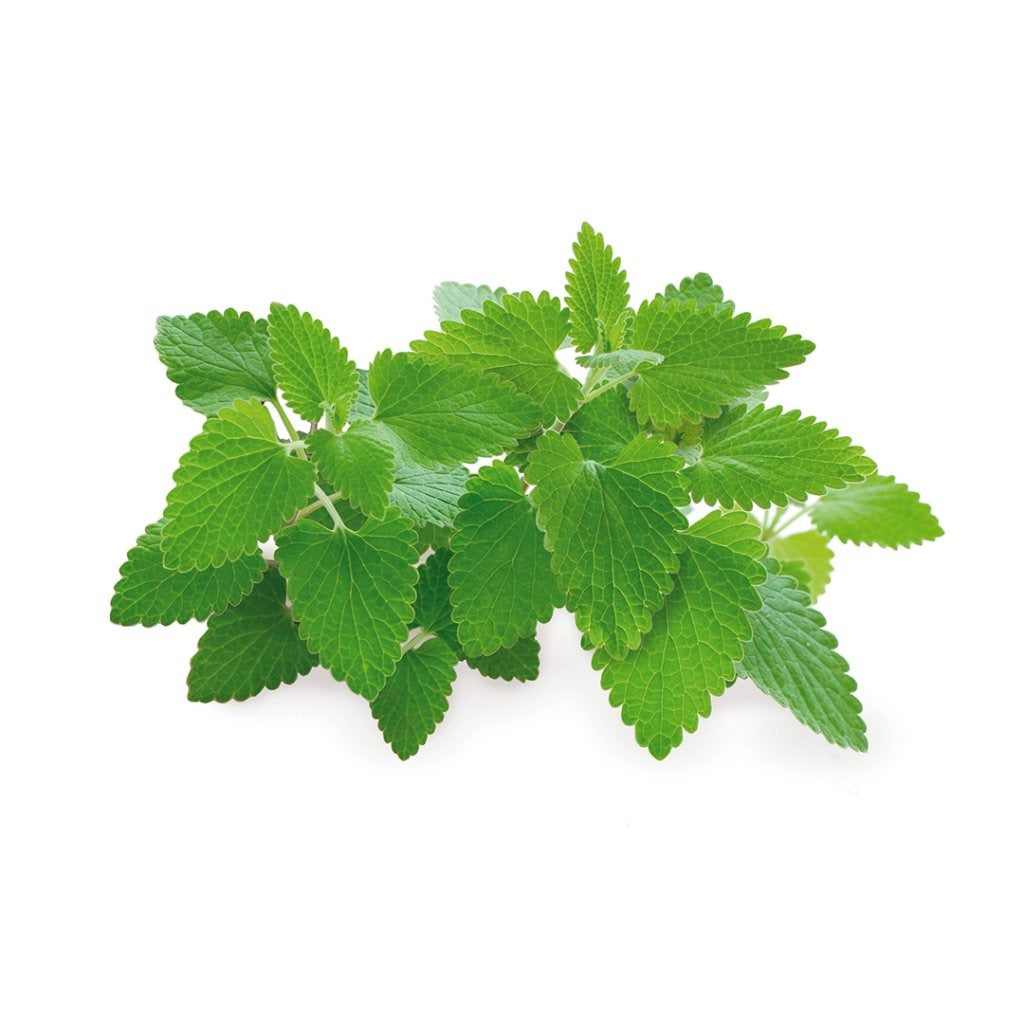 Click & Grow - Smart Garden Refill Catnip - Starter do Uprawy z Nasionami - Kocimiętka