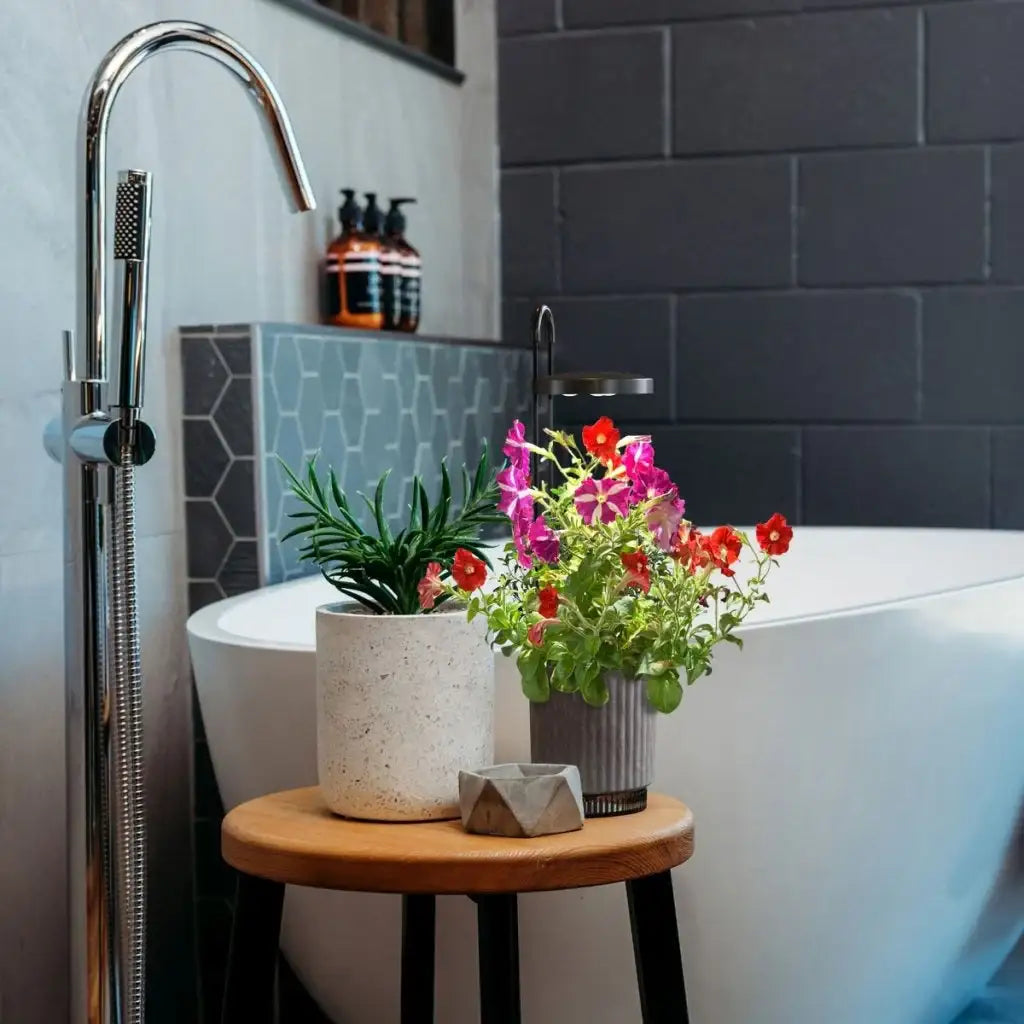 Click & Grow - HydroVase by Ermonix Indoor Plant Care Kit with LED Light - Doniczka z Lampą Led do Uprawy Roślin