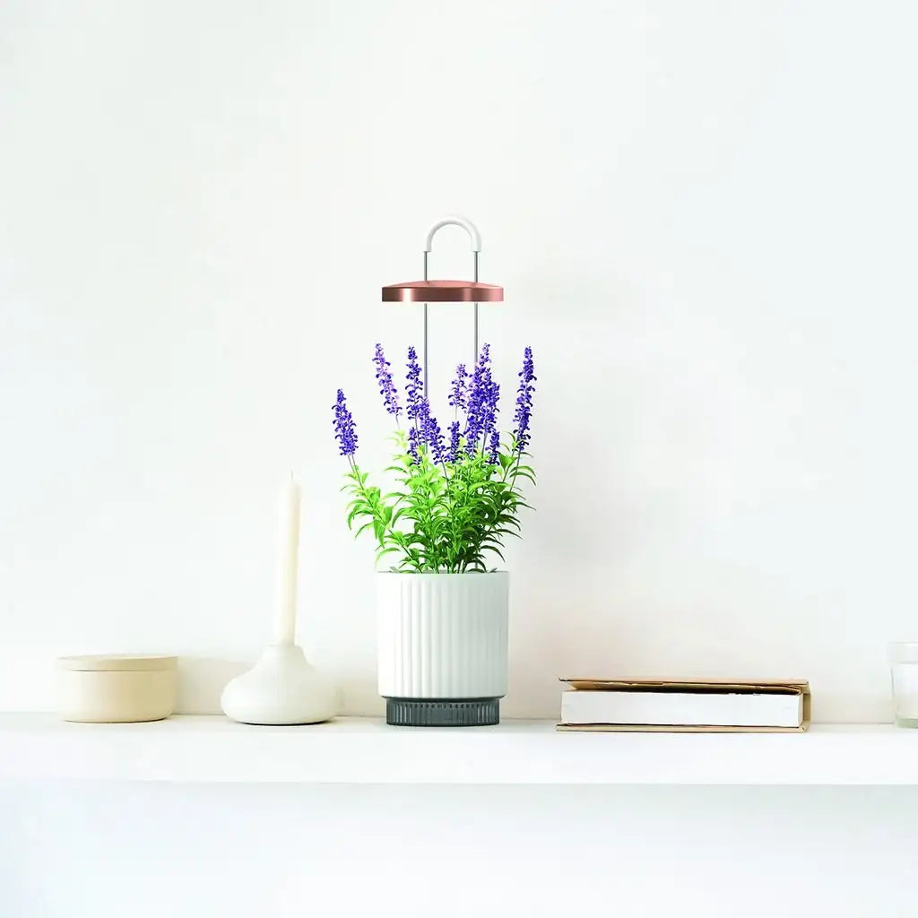 Click & Grow - HydroVase by Ermonix Indoor Plant Care Kit with LED Light - Doniczka z Lampą Led do Uprawy Roślin