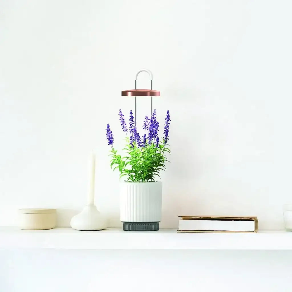 Click & Grow - HydroVase by Ermonix Indoor Plant Care Kit with LED Light - Doniczka z Lampą Led do Uprawy Roślin