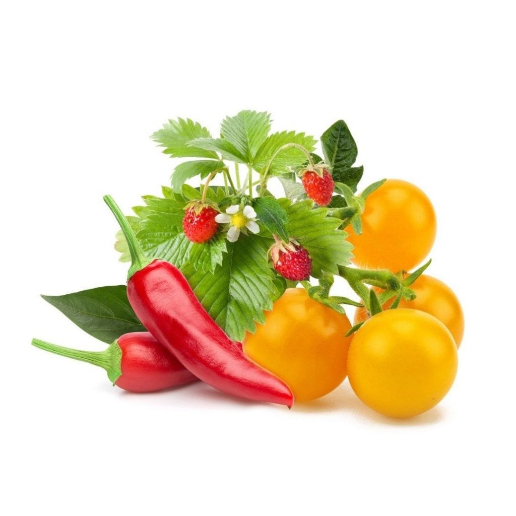 Click & Grow - Smart Garden Refill Fruit and Veggie Mix - Starter do Uprawy z Nasionami - Mieszanka Owoców i Warzyw