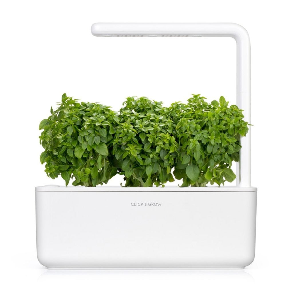 Click & Grow - Smart Garden Refill Dwarf Basil - Starter do Uprawy z Nasionami - Bazylia Karłowata