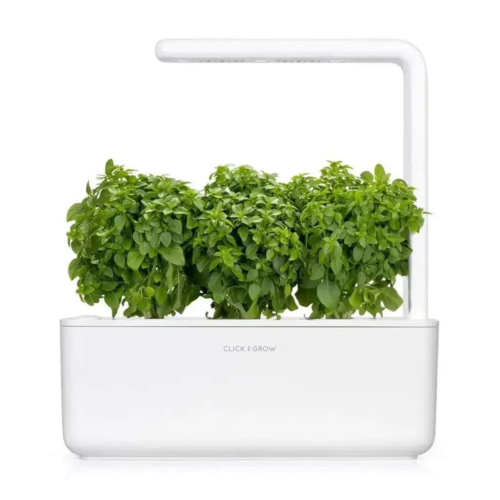 Click & Grow - Smart Garden Refill Dwarf Basil - Starter do Uprawy z Nasionami - Bazylia Karłowata