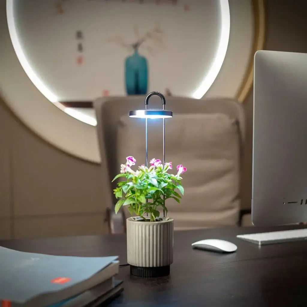 Click & Grow - HydroVase by Ermonix Indoor Plant Care Kit with LED Light - Doniczka z Lampą Led do Uprawy Roślin