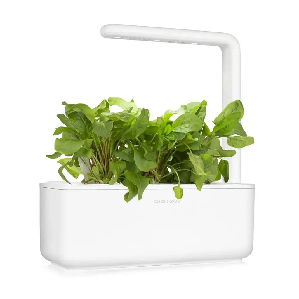 Click & Grow - Smart Garden Refill Green Sorrel - Starter do Uprawy z Nasionami - Szczaw Zwyczajny