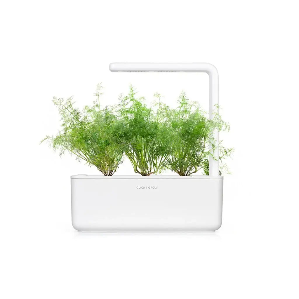 Click & Grow - Smart Garden Refill Dill - Starter do Uprawy z Nasionami - Koperek